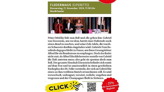 241121_Fledermaus.jpg  